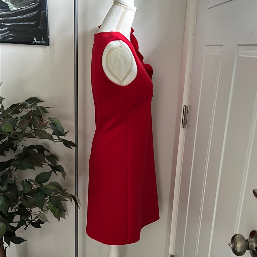 Jason Wu Collection Scarlet Ruffle Mini Dress - Picture 5 of 6